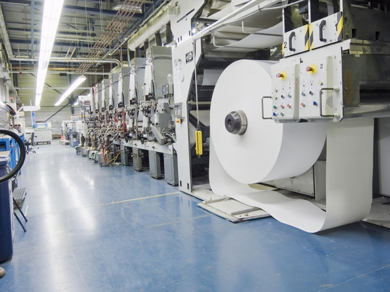 Paper & Pulp Manufacturing